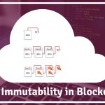 how-data-immutability-works-in-blockchain