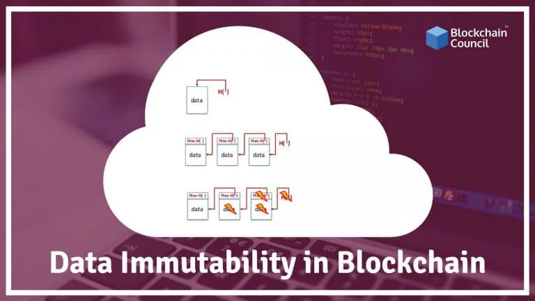 How Data Immutability Works In Blockchain?