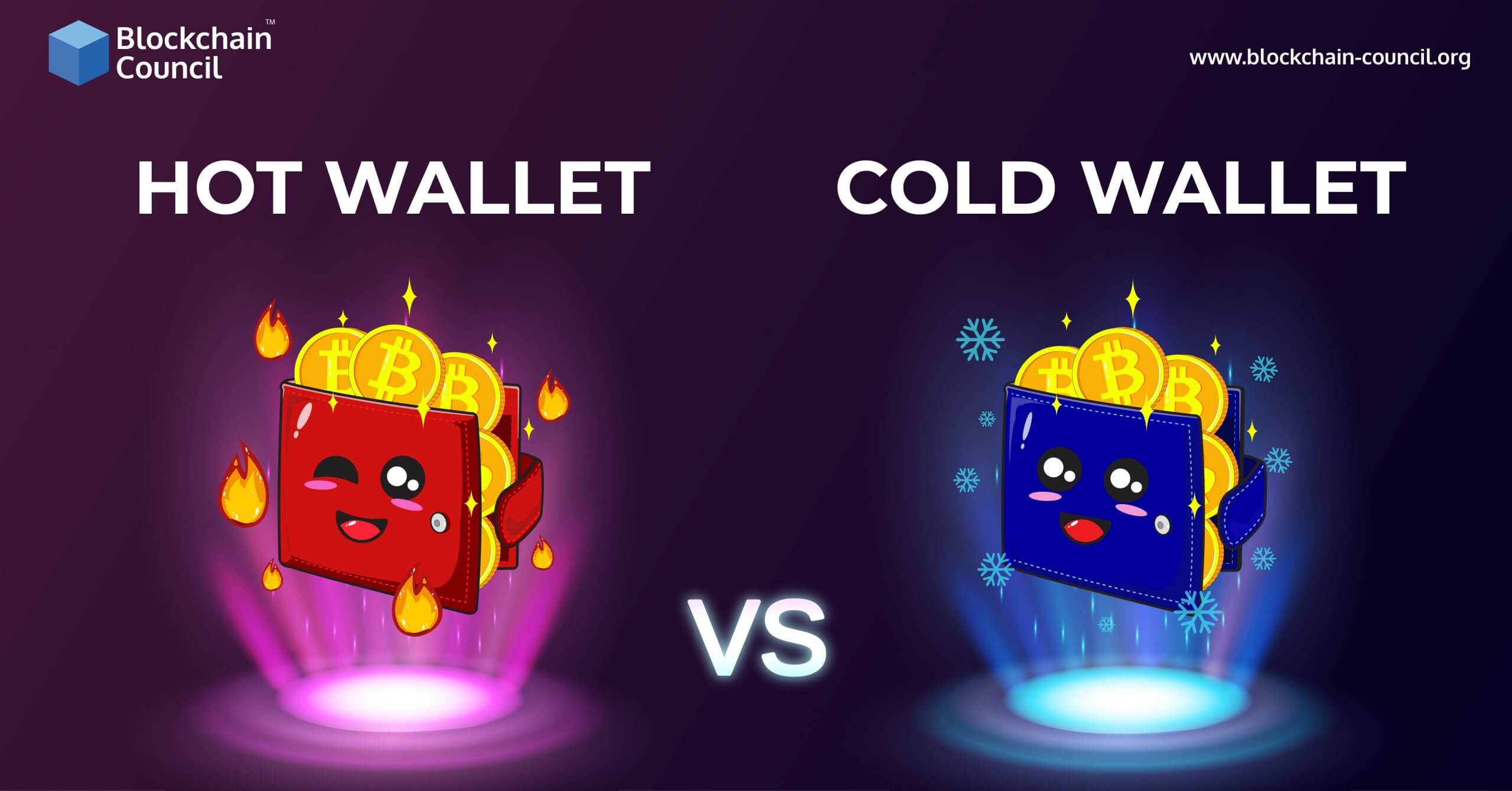 HOT WALLET VS COLD WALLET