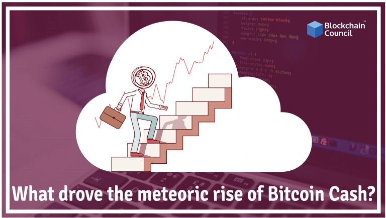 What-drove-the-meteroic-rise-of-Bitcoin-Cash