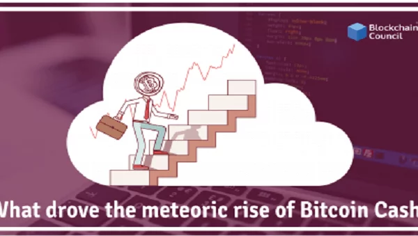What drove the meteoric rise in Bitcoin Cash?