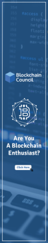 Are-You-A-Blockchain-Enthusiast-120×600.png