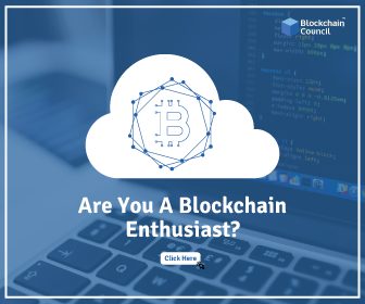 Are-You-A-Blockchain-Enthusiast-336x280.png