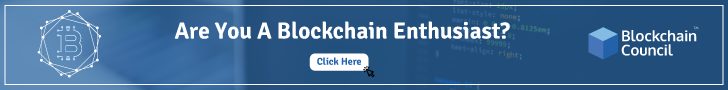 Are-You-A-Blockchain-Enthusiast-728x90.png