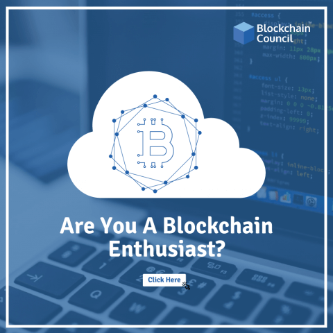 Are-You-A-Blockchain-Enthusiast-970x970-1.png