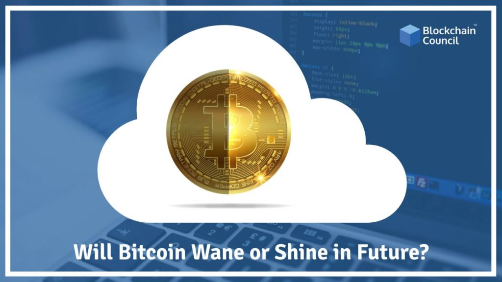 Will-Bitcoin-Wane-or-Shine-in-Future-e1515307795670