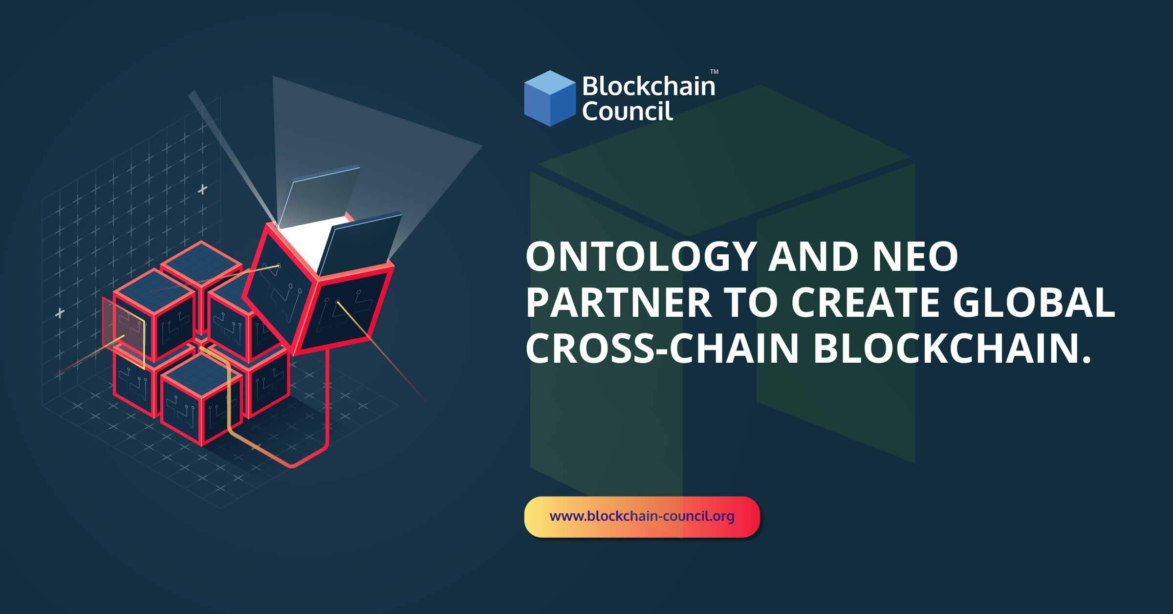 Ontology and NEO Partner to Create Global Cross-Chain Blockchain