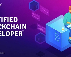 Blockchain Developer