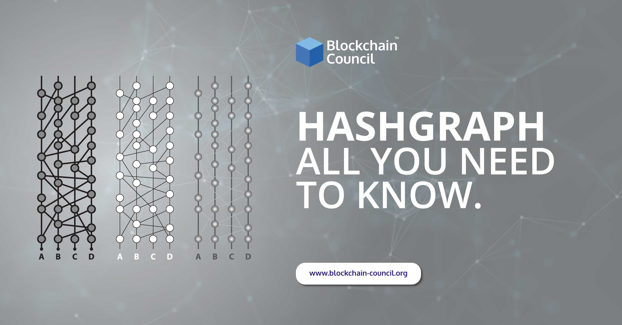 Hashgraph-All-You-Need-to-Know