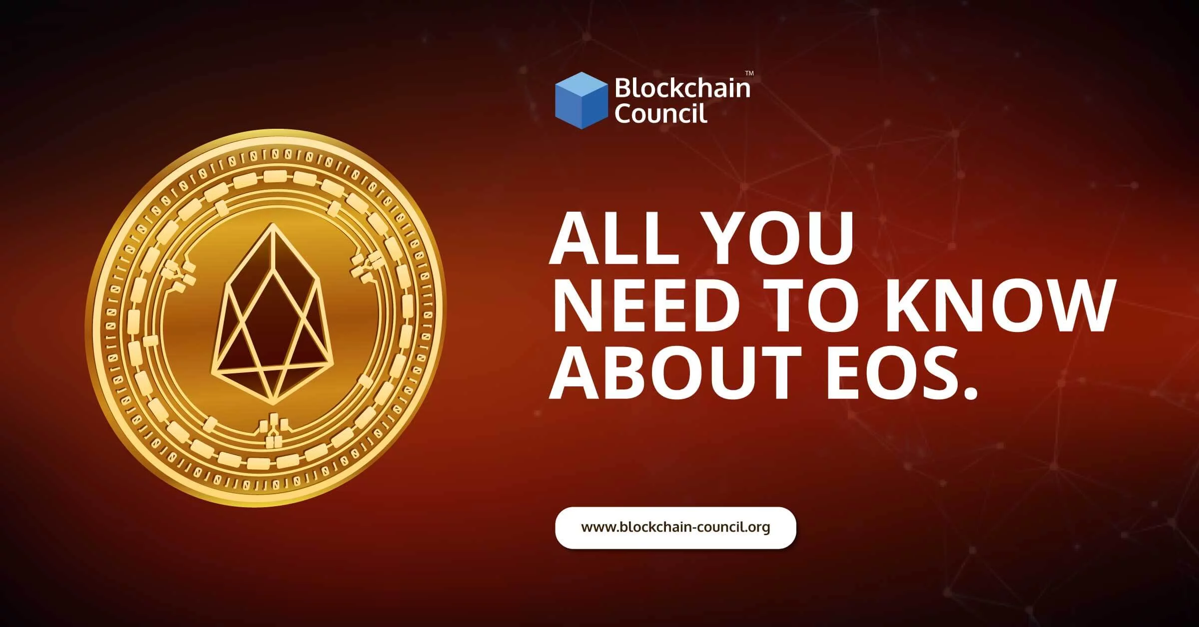 All You Need To Know About EOS