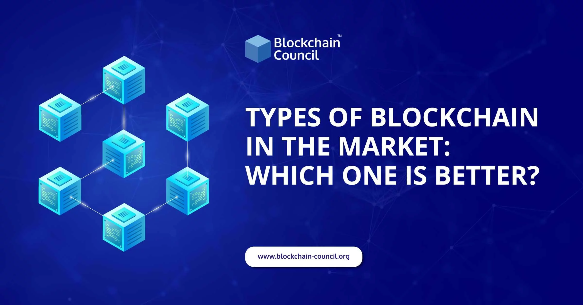 Types of Blockchain in the Market: Which One is Better?