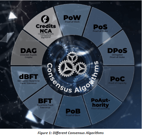 Consensus Algorithms