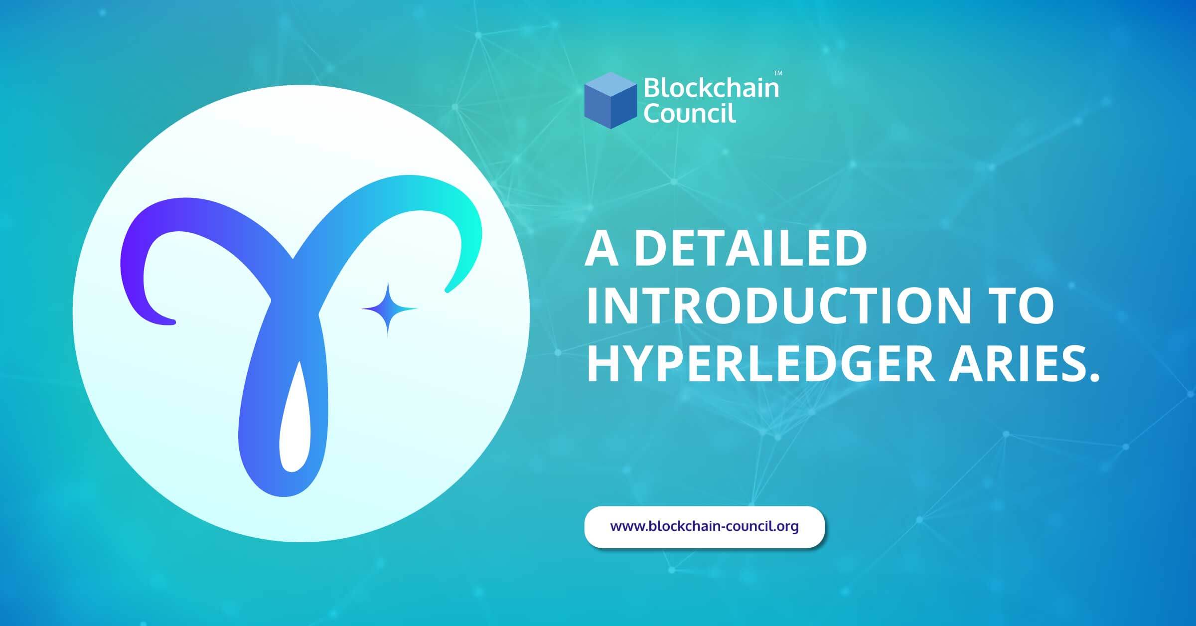 A-Detailed-Introduction-to-Hyperledger-Aries