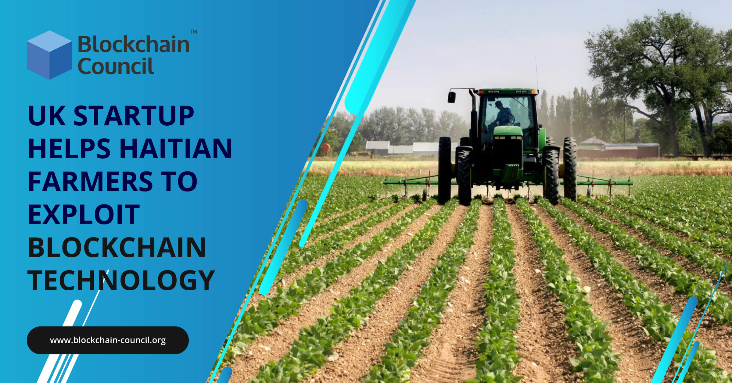 UK Startup Helps Haitian Farmers to Exploit Blockchain Technology