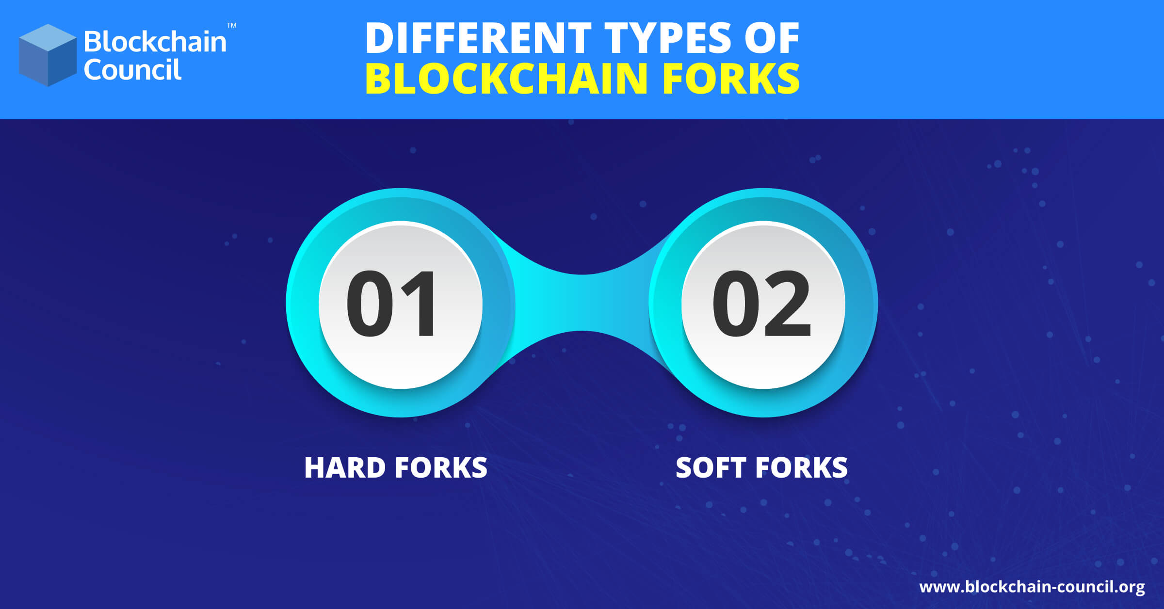 Types of forks