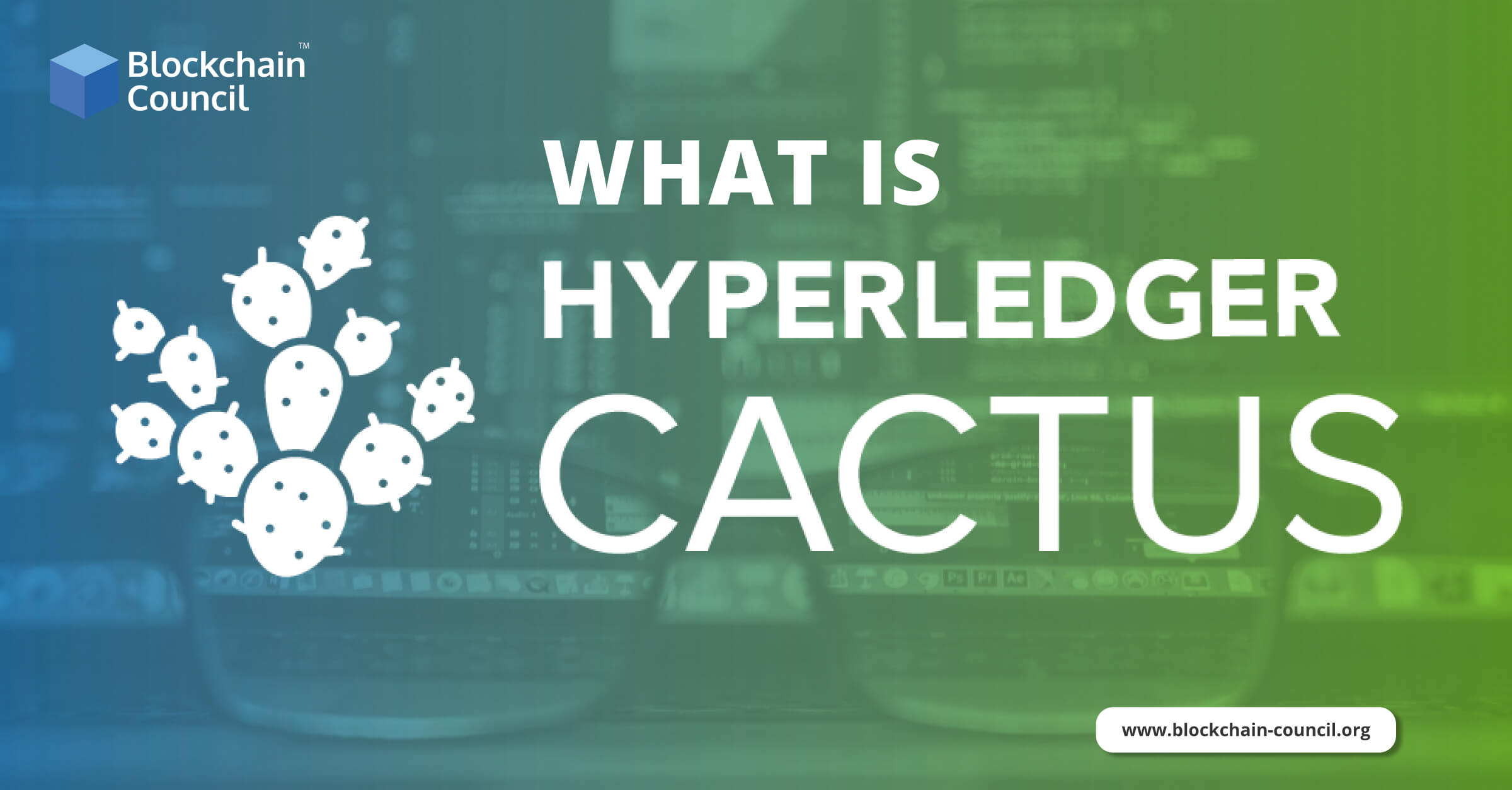 What Is Hyperledger Cactus?