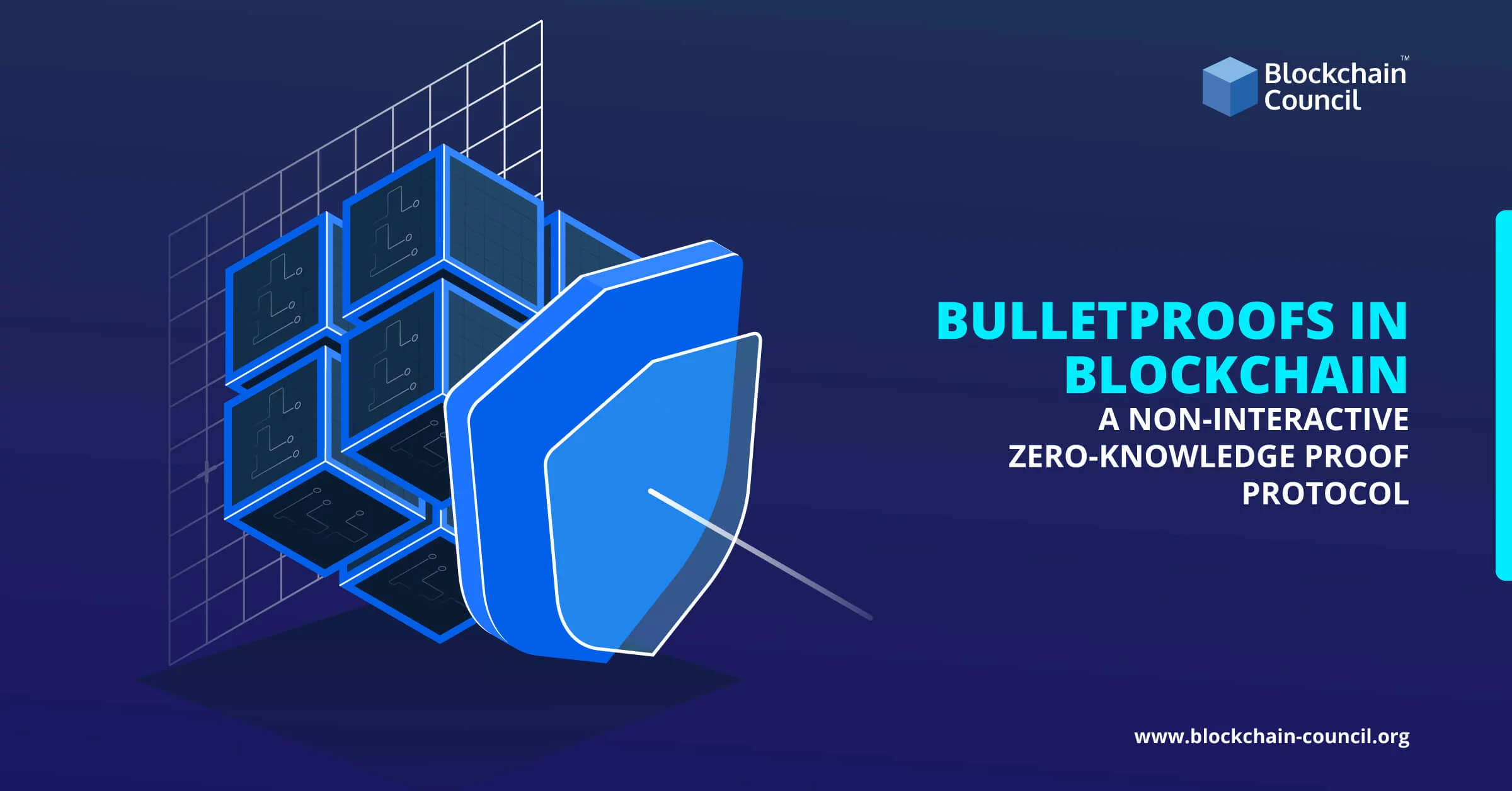 Bulletproofs-in-Blockchain--A-Non-Interactive-Zero-Knowledge-Proof-Protocol