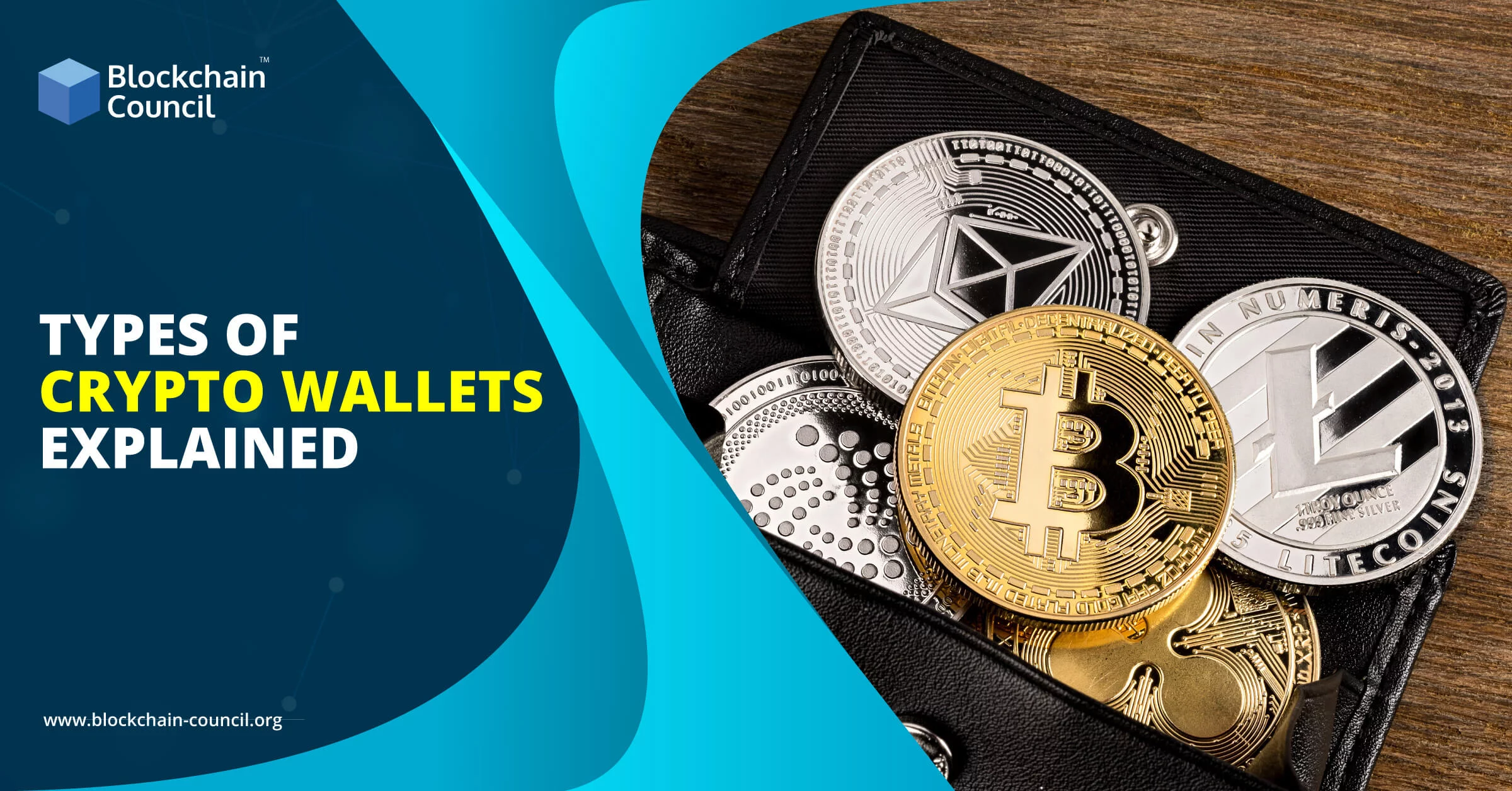 Types of Crypto Wallets Explained [UPDATED]