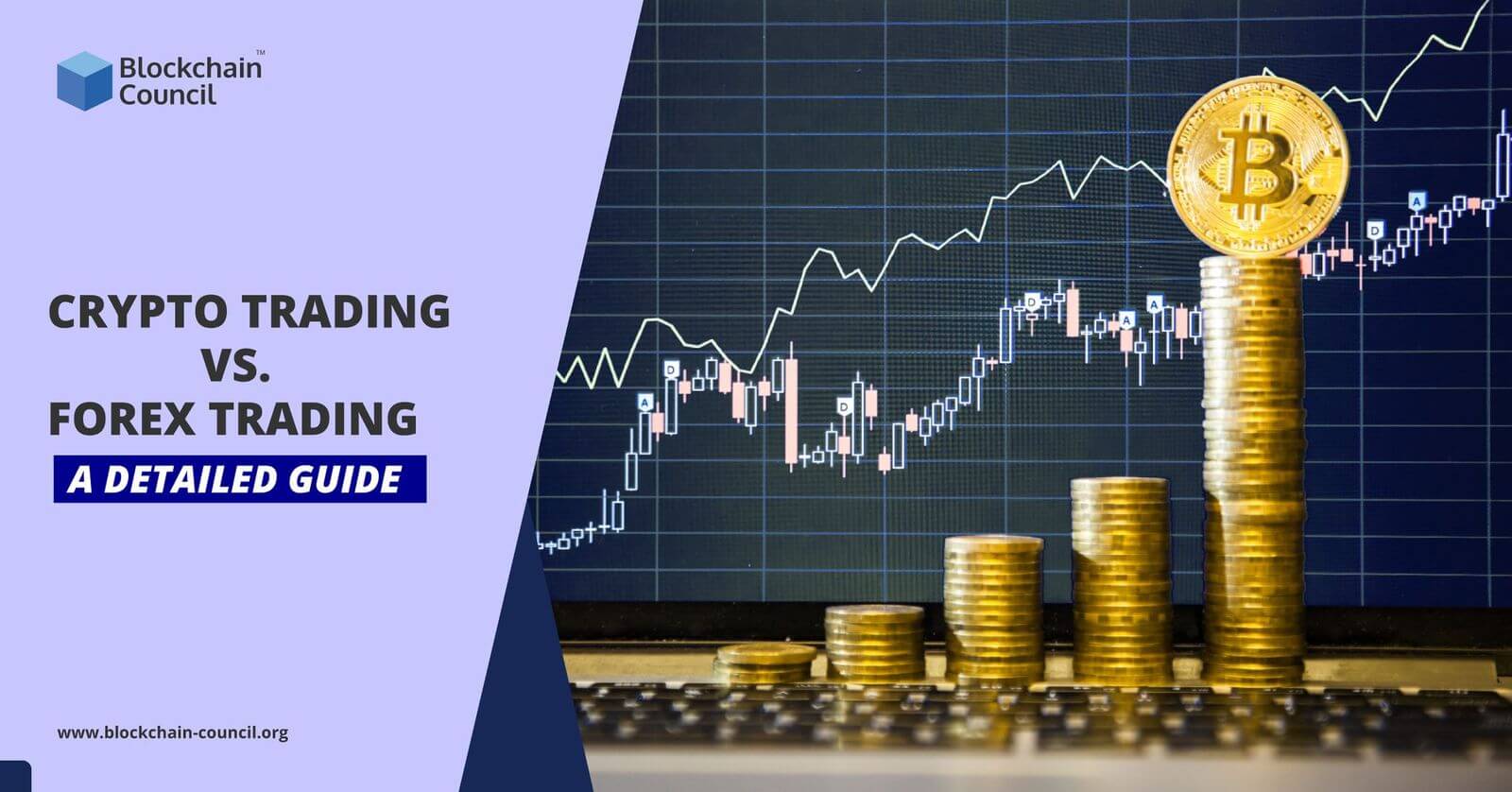 Crypto Trading Vs. Forex Trading- A Detailed Guide