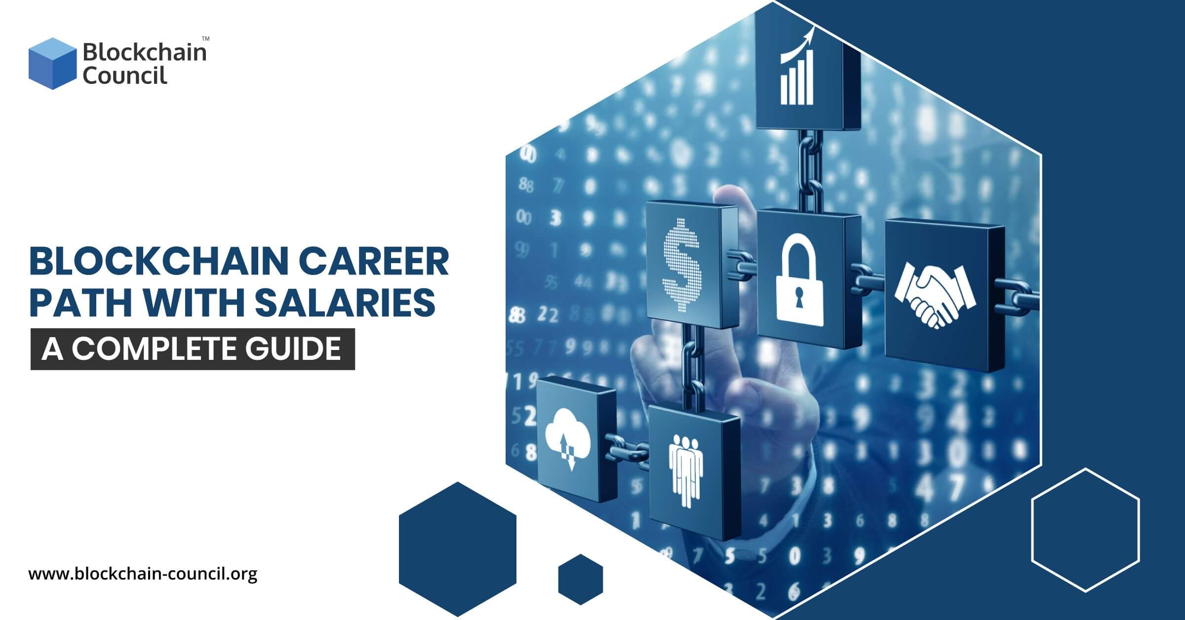 Blockchain-Career-Path-with-Salaries-A-Complete-Guide