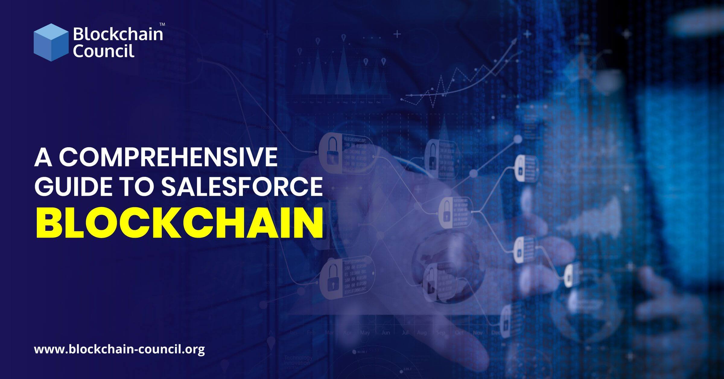 A Comprehensive Guide to Salesforce Blockchain