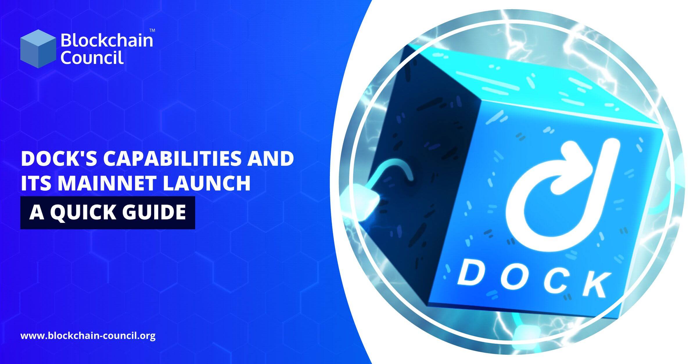 Dock’s Capabilities and its Mainnet Launch: A Quick Guide