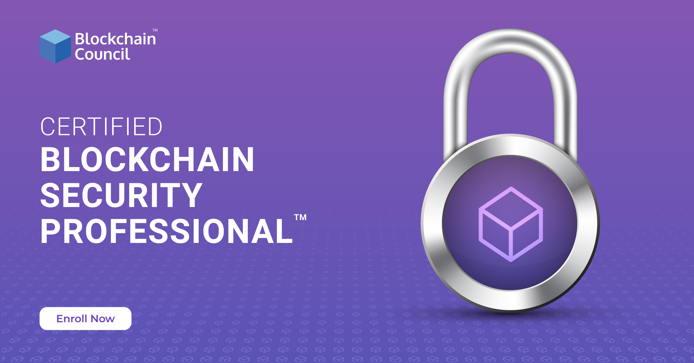 Certified-Blockchain-Security-Professional