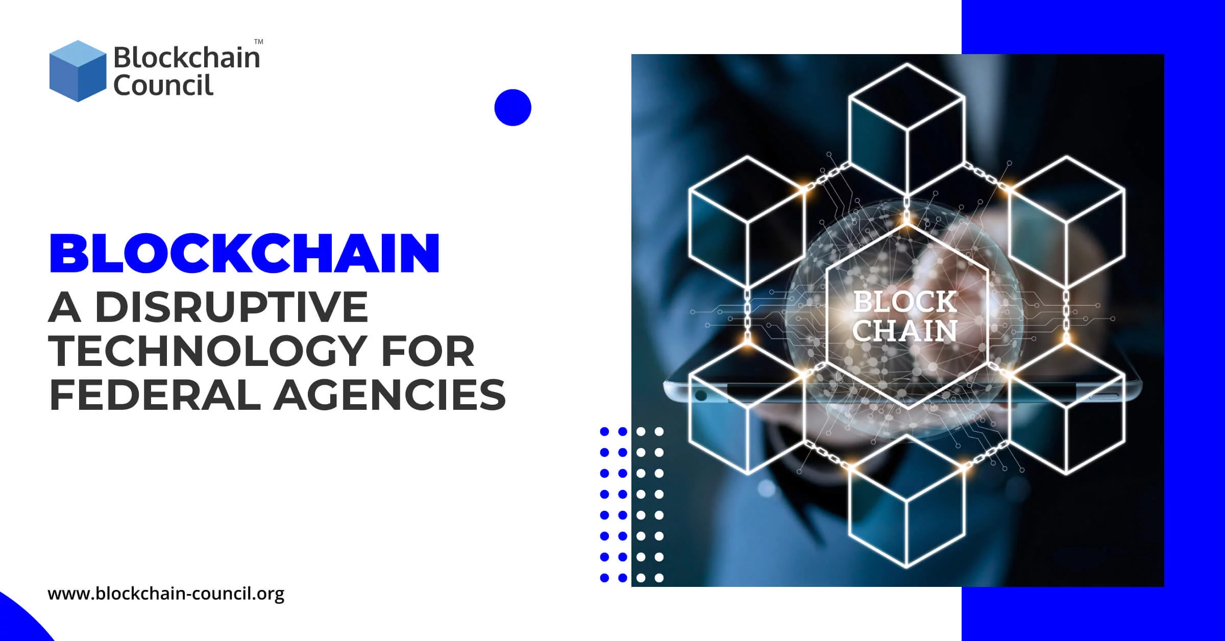 Blockchain: A Disruptive Technology for Federal Agencies