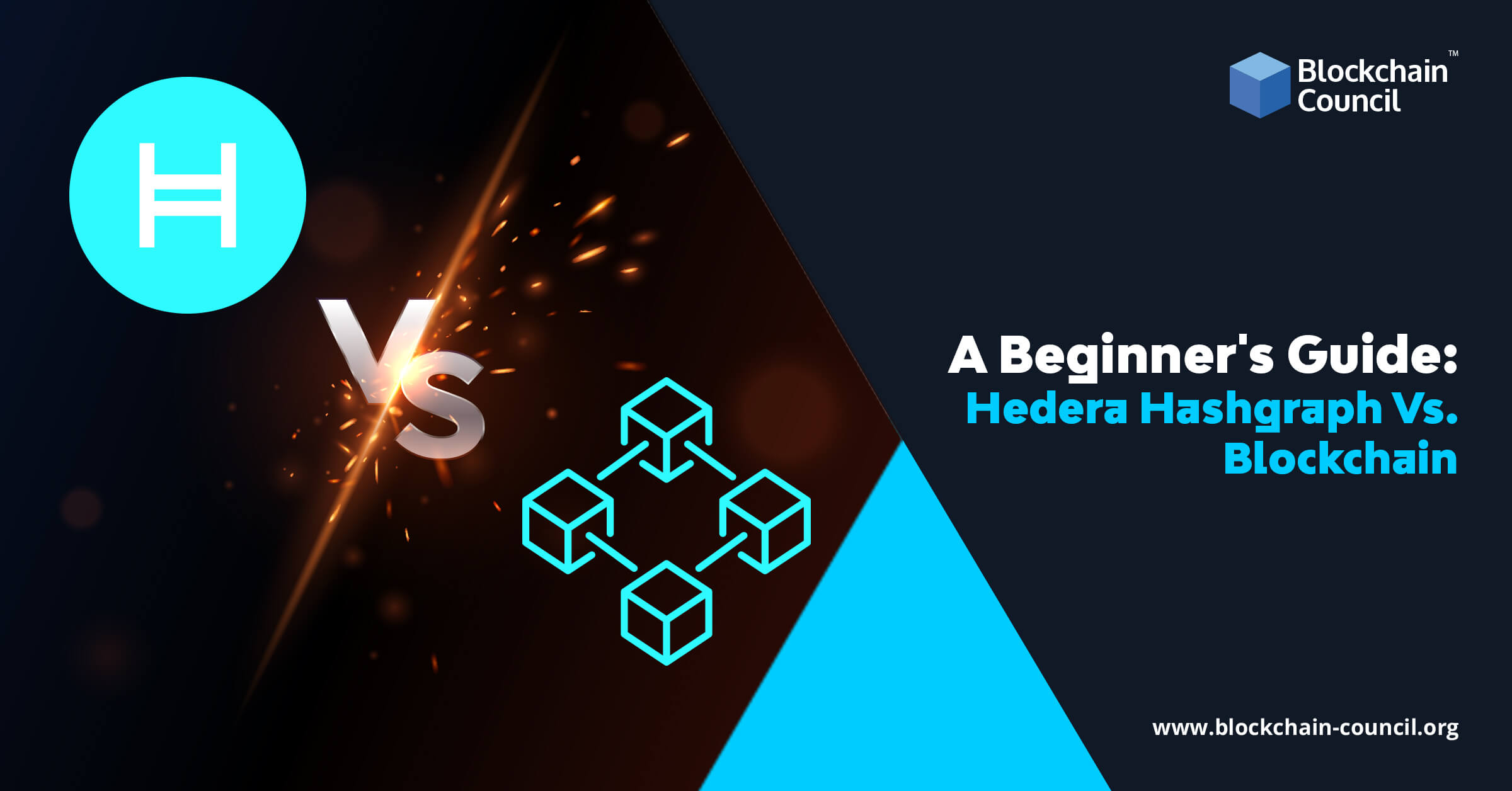 A Beginner’s Guide: Hedera Hashgraph Vs. Blockchain