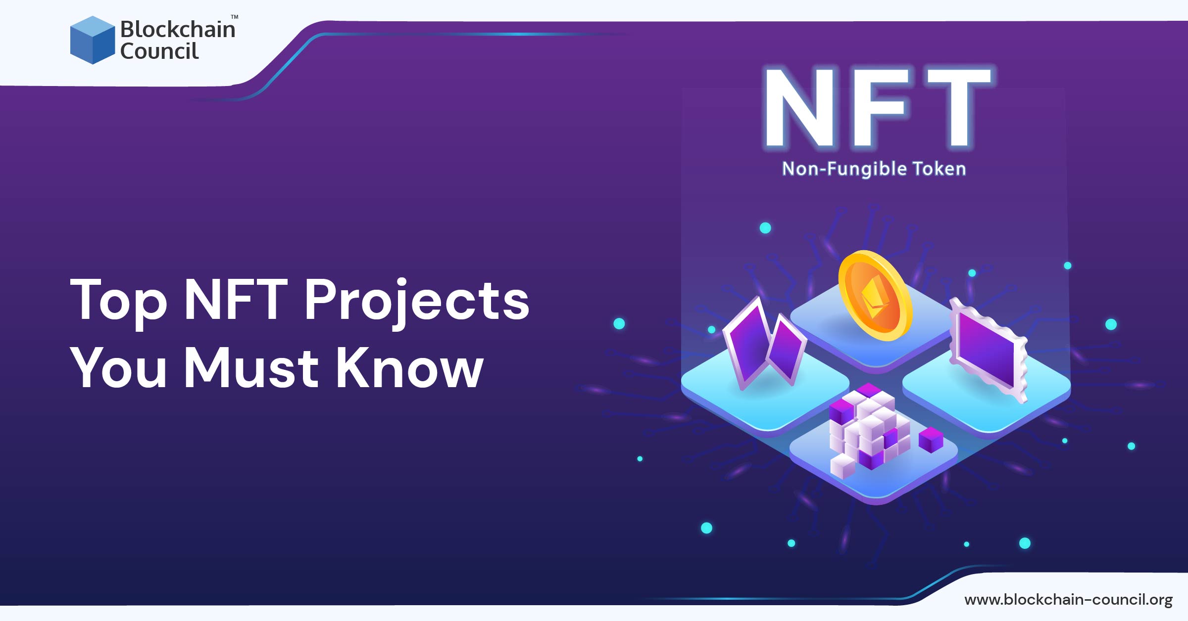 Top NFT Projects You Must Know