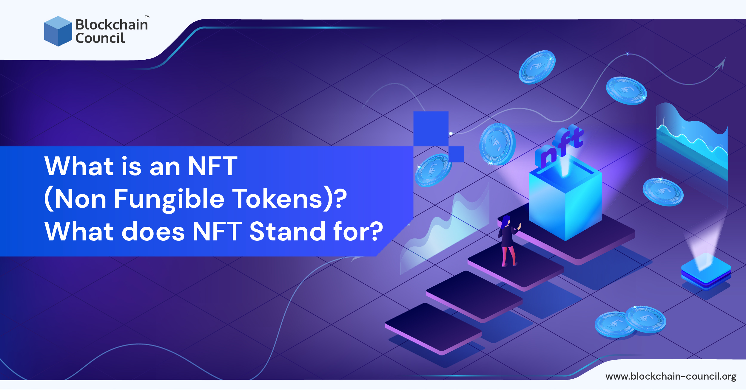 What is an NFT (Non Fungible Tokens)? What does NFT Stand for? [UPDATED]