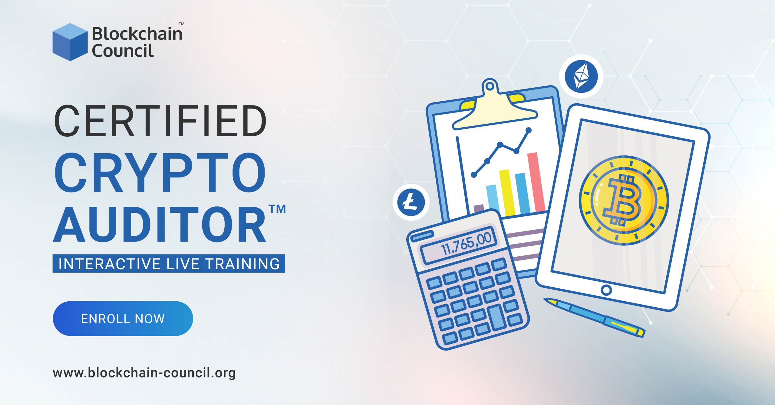 Certified Cryptocurrency Auditor™ Interactive Live Training