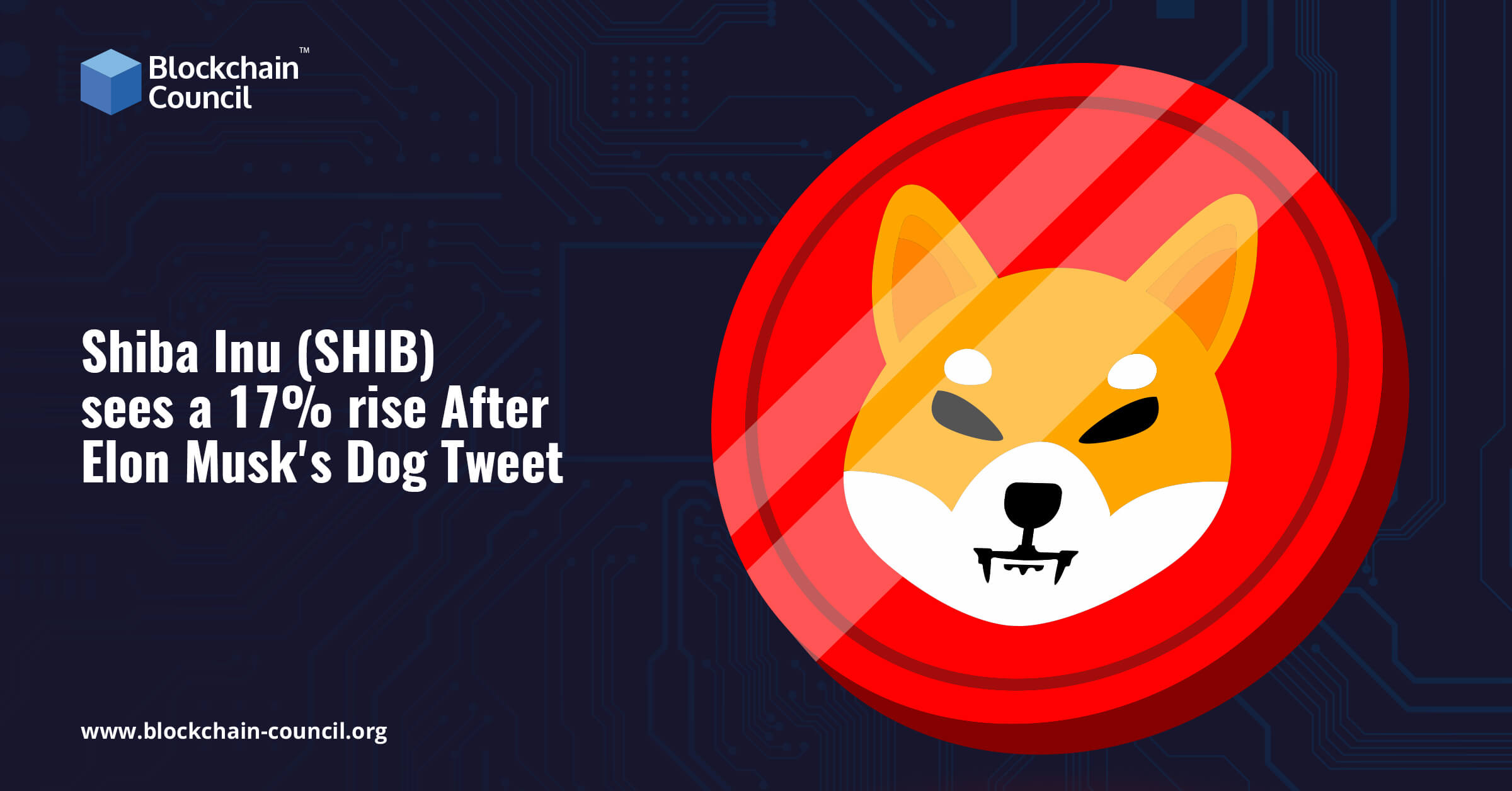 Shiba Inu (SHIB) sees a 17% rise After Elon Musk’s Dog Tweet