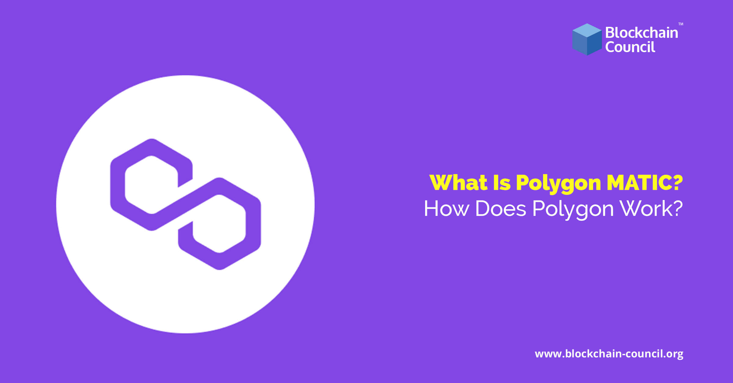 What Is Polygon MATIC? How Does Polygon Work? -