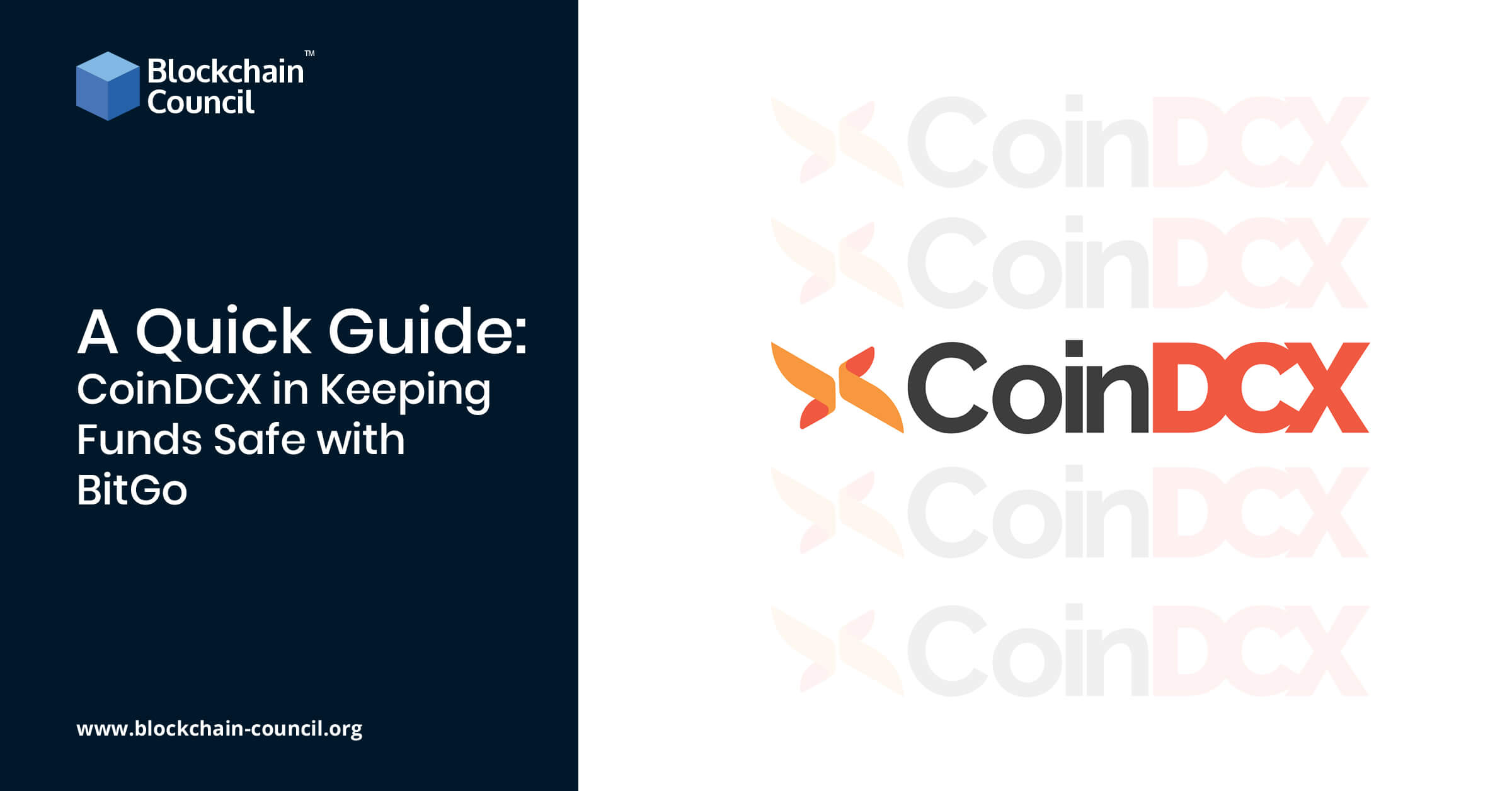 A Quick Guide: CoinDCX in Keeping Funds Safe with BitGo