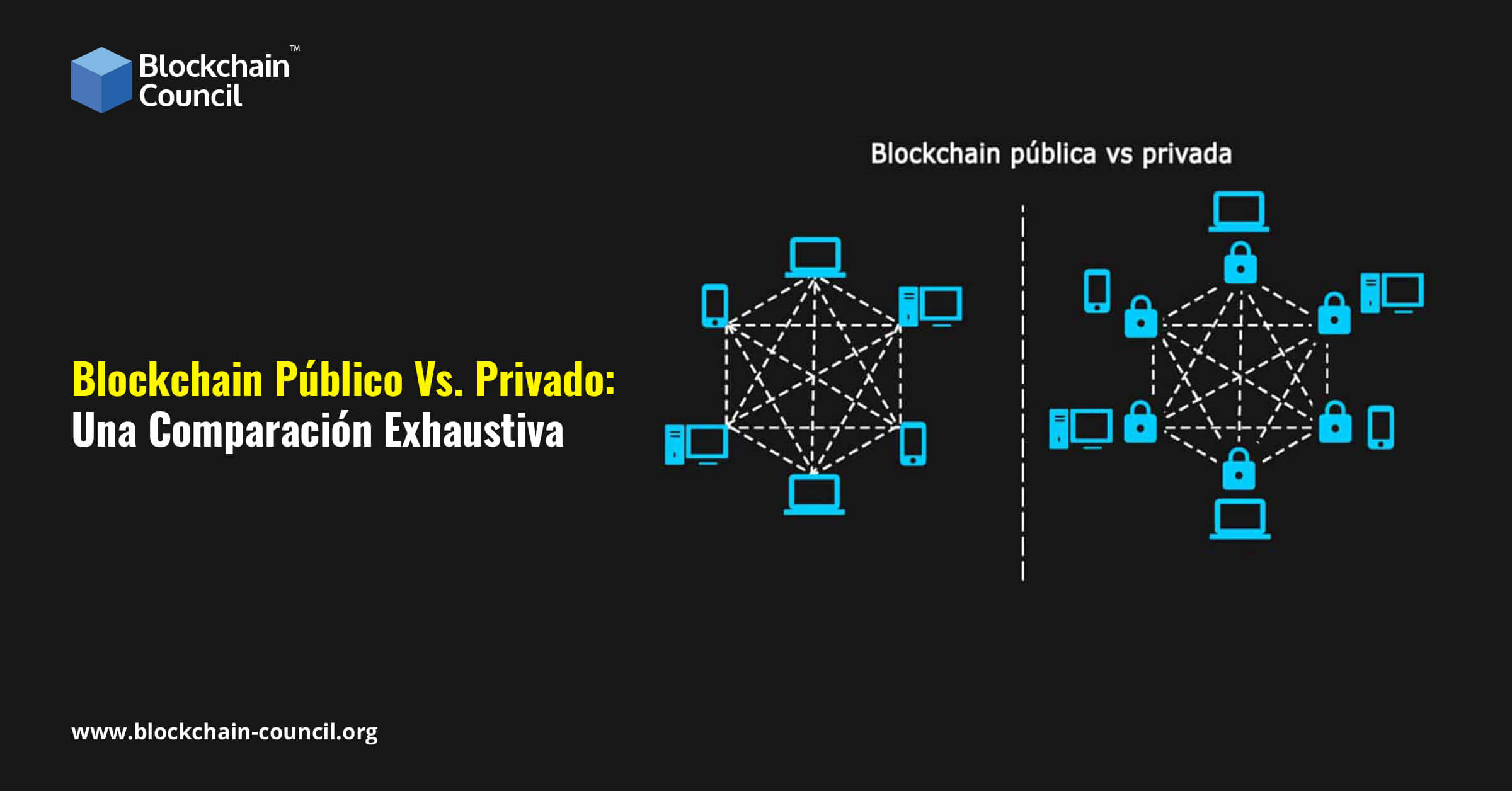 Blockchain Público Vs. Privado: Una Comparación Exhaustiva