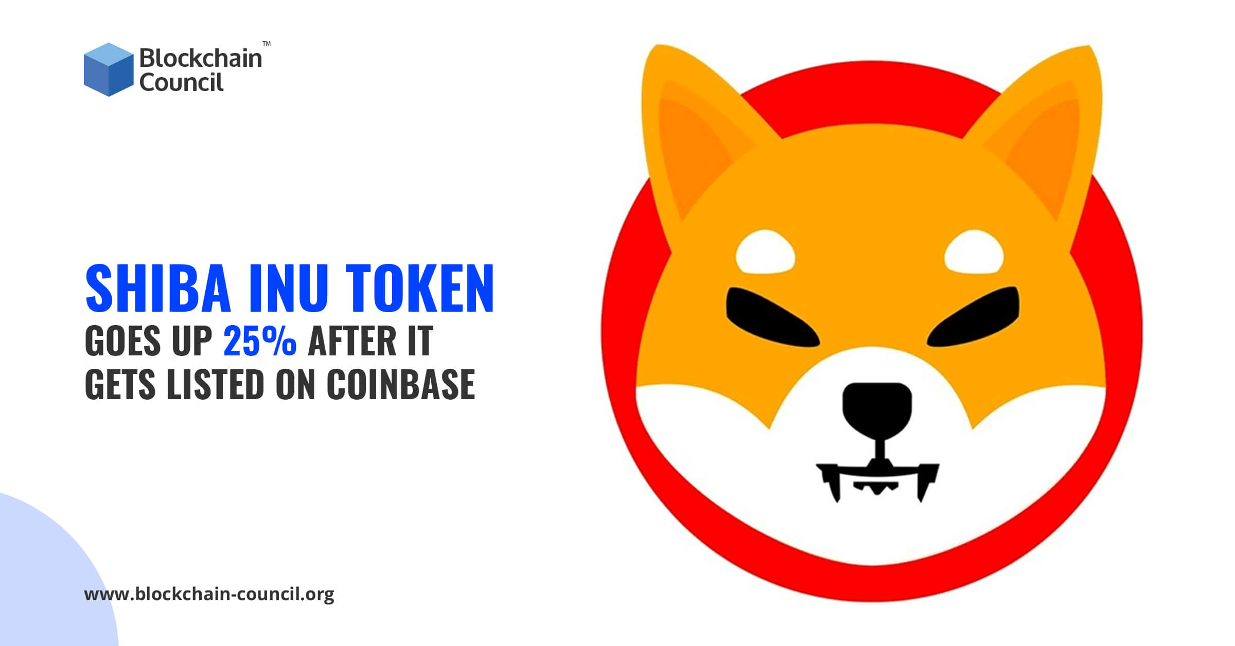 shiba in coinbase