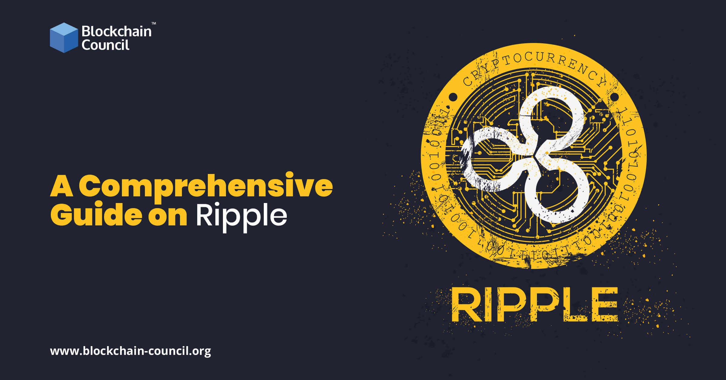 A Comprehensive Guide on Ripple