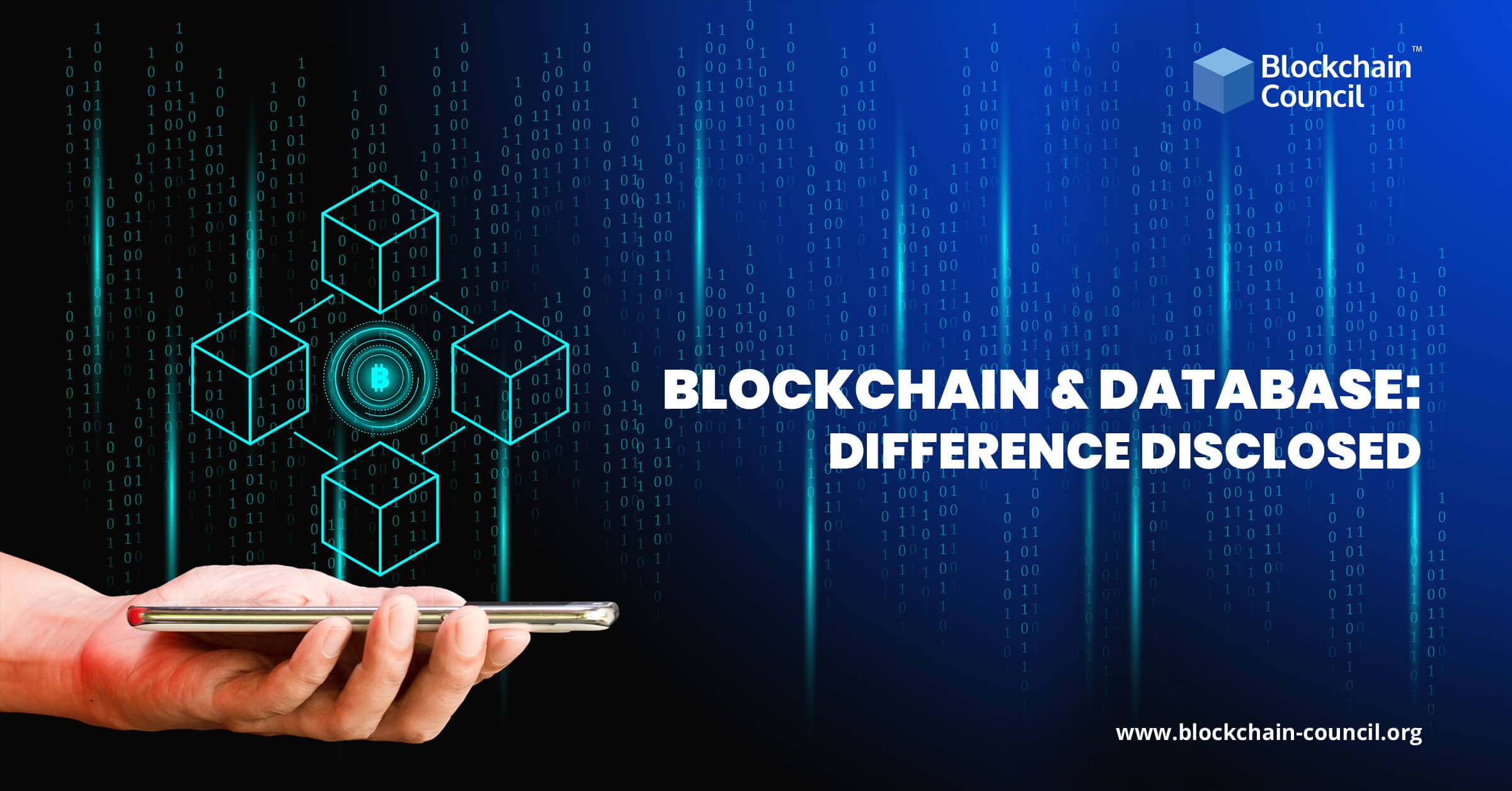 Blockchain & Database Difference disclosed