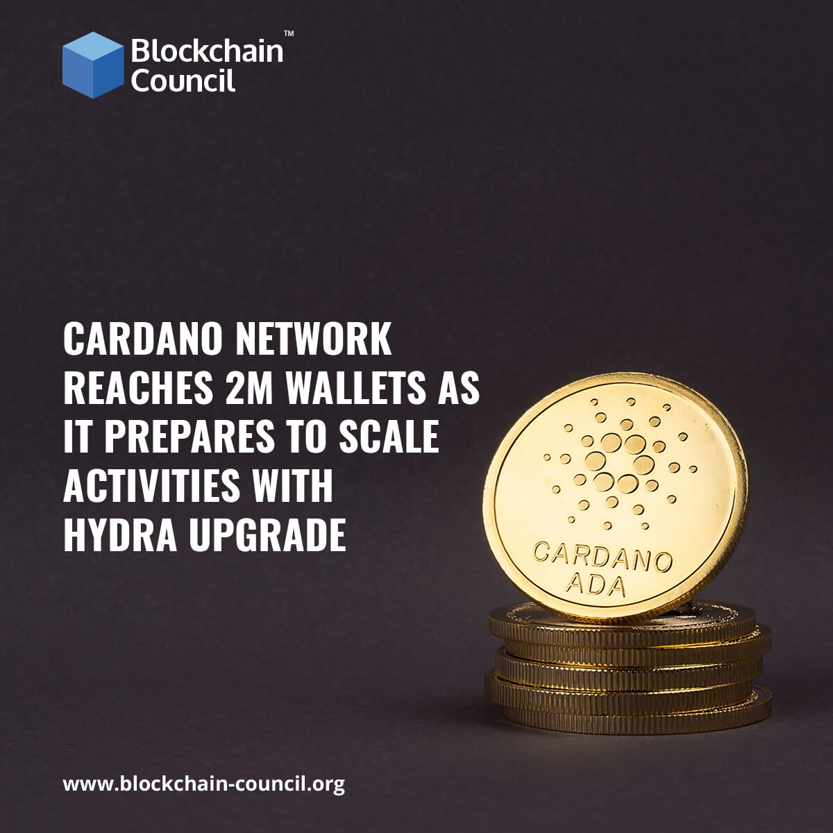 Cardano network reaches 2M wallets as it prepares to scale activities with Hydra upgrade