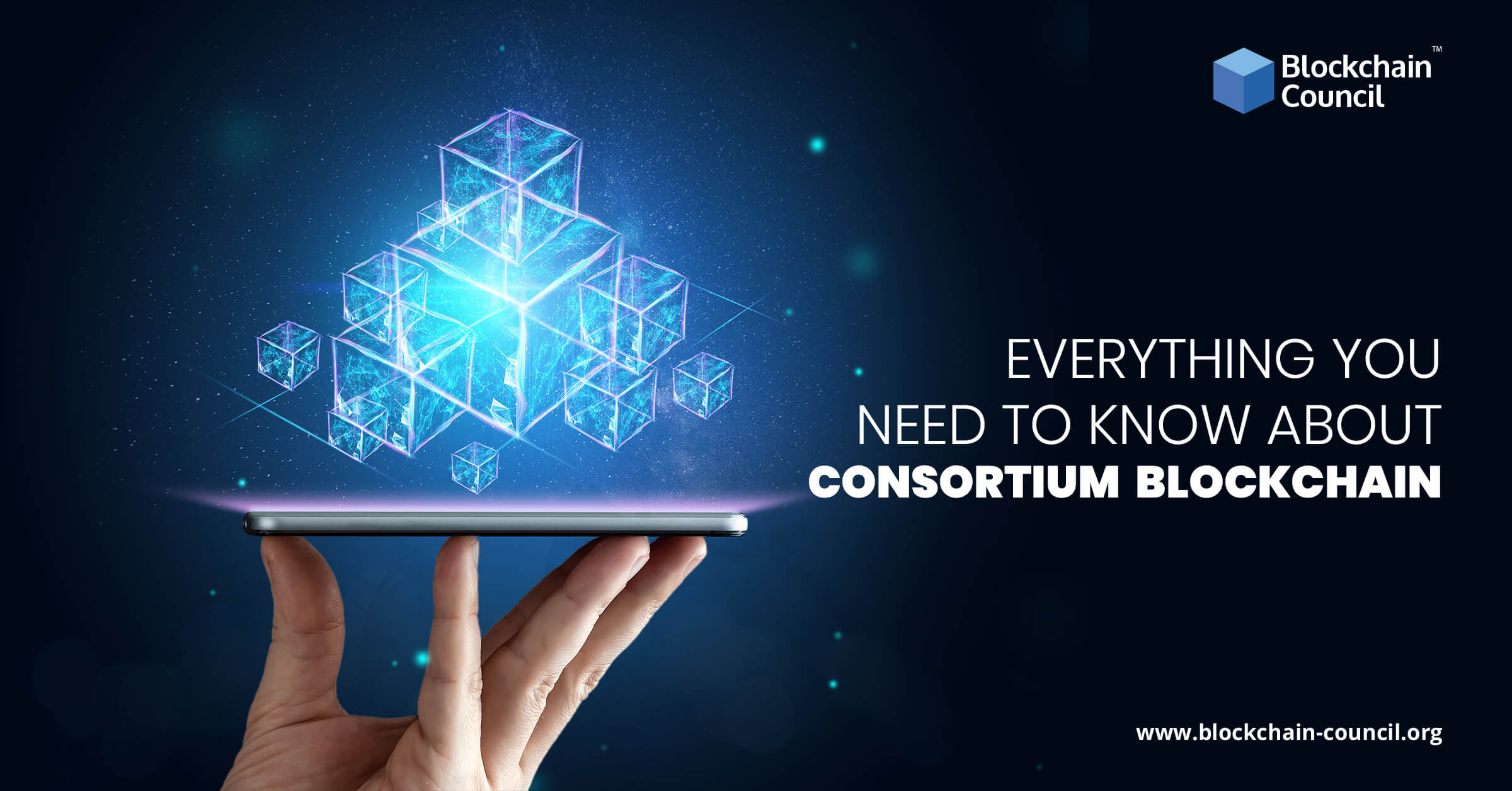 Everything You Need to Know About Consortium Blockchain [UPDATED]