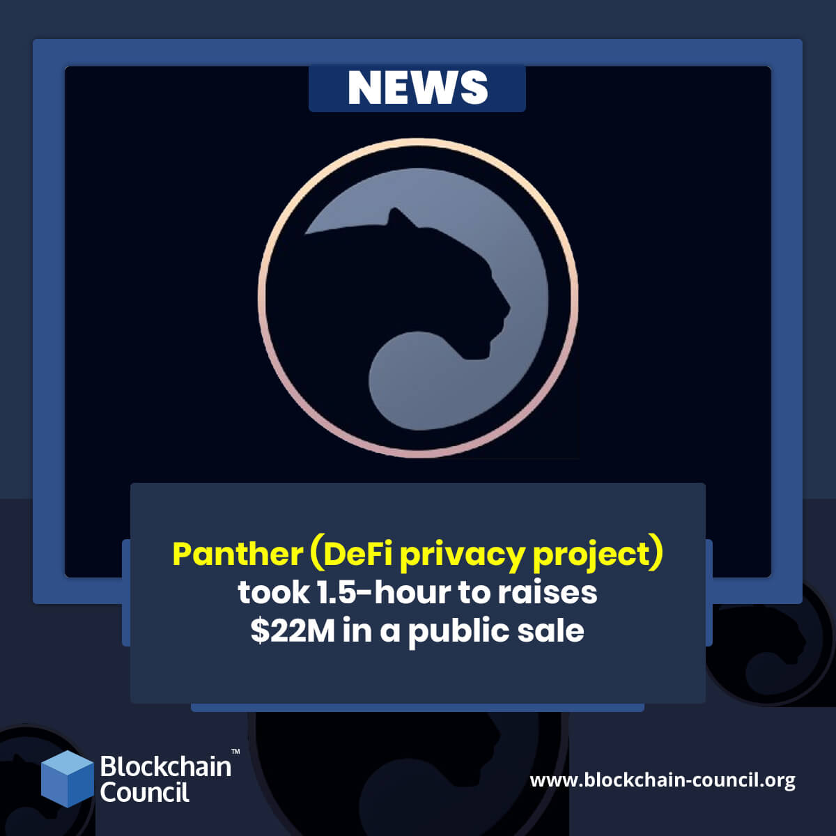 Panther (DeFi privacy project) took 1.5-hour to raises $22M in a public sale