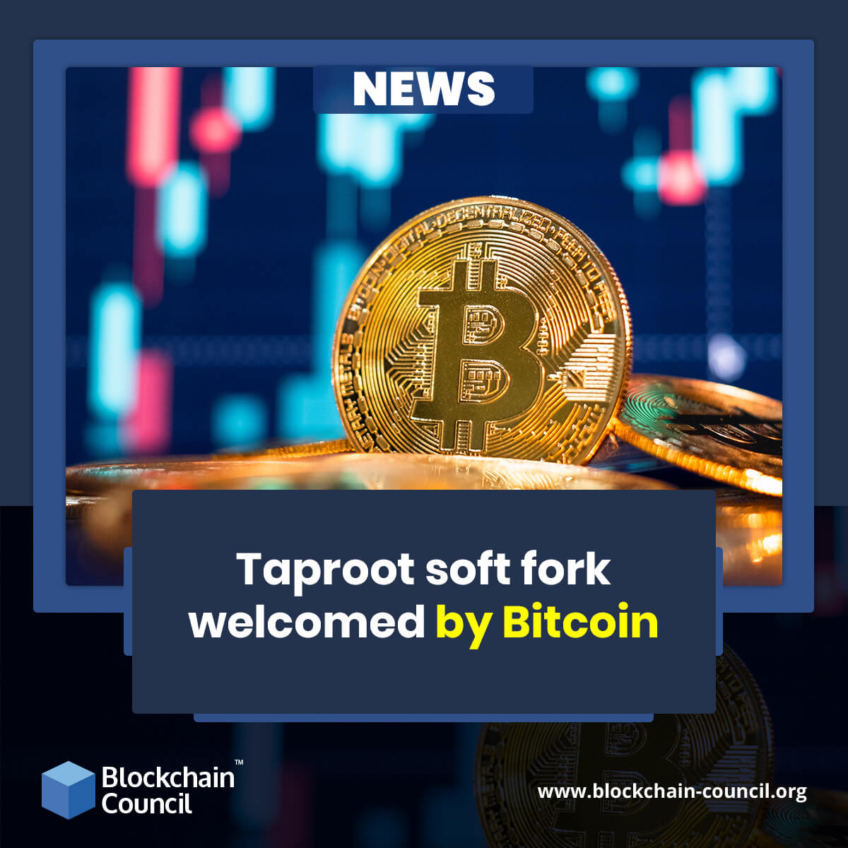 Taproot soft fork welcomed by Bitcoin