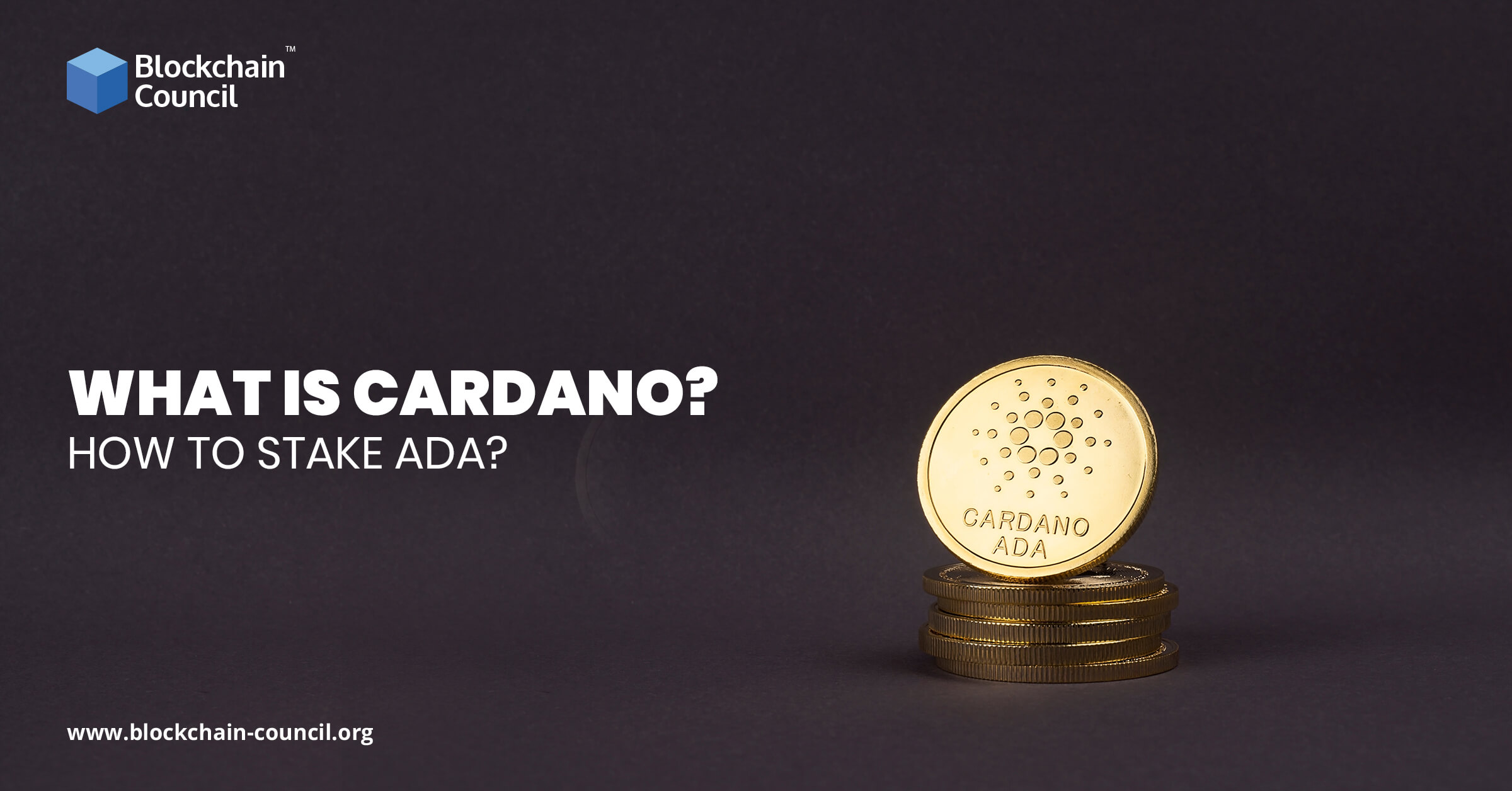 What is Cardano How to stake ADA