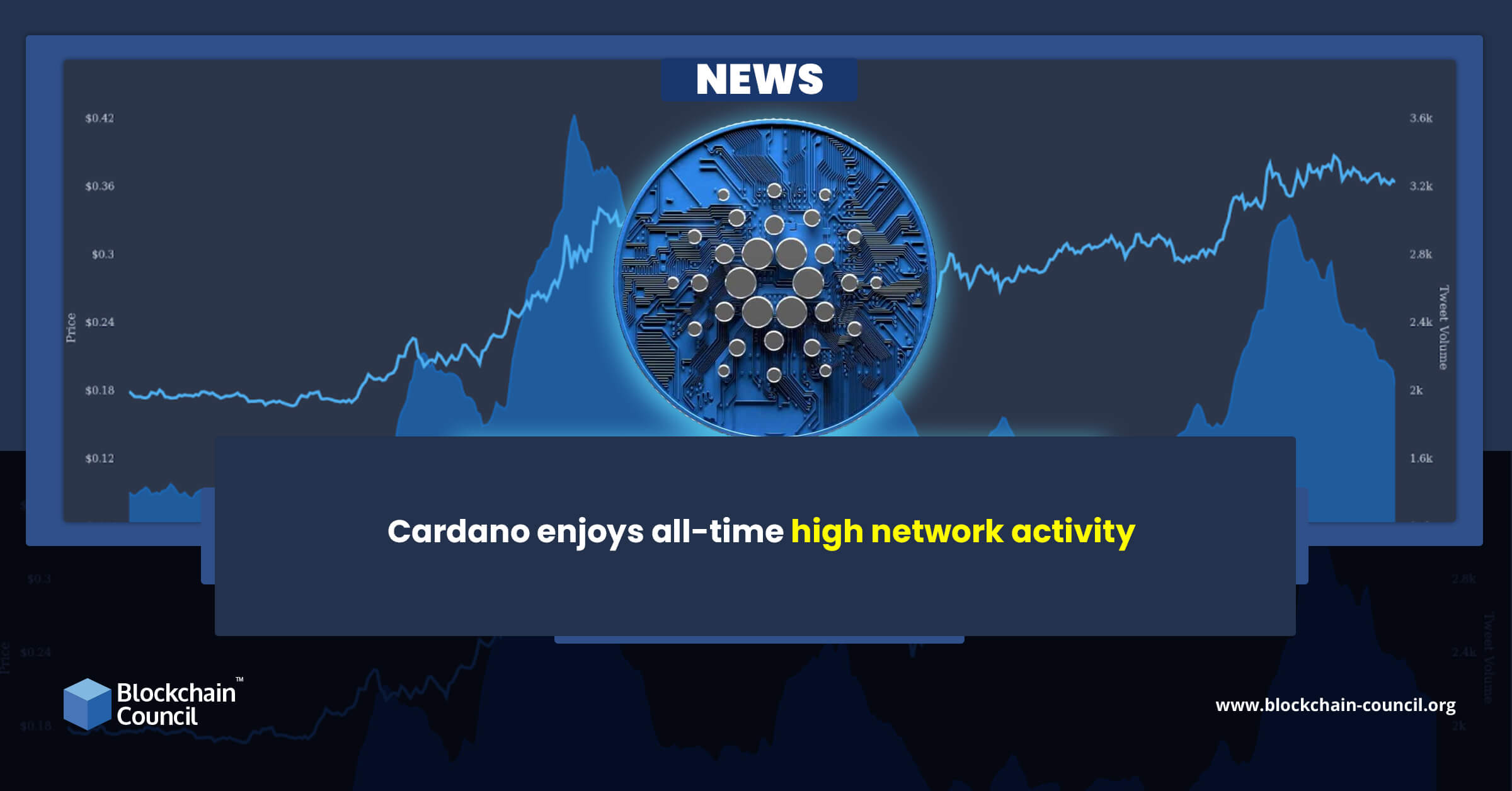 Cardano enjoys all-time high network activity