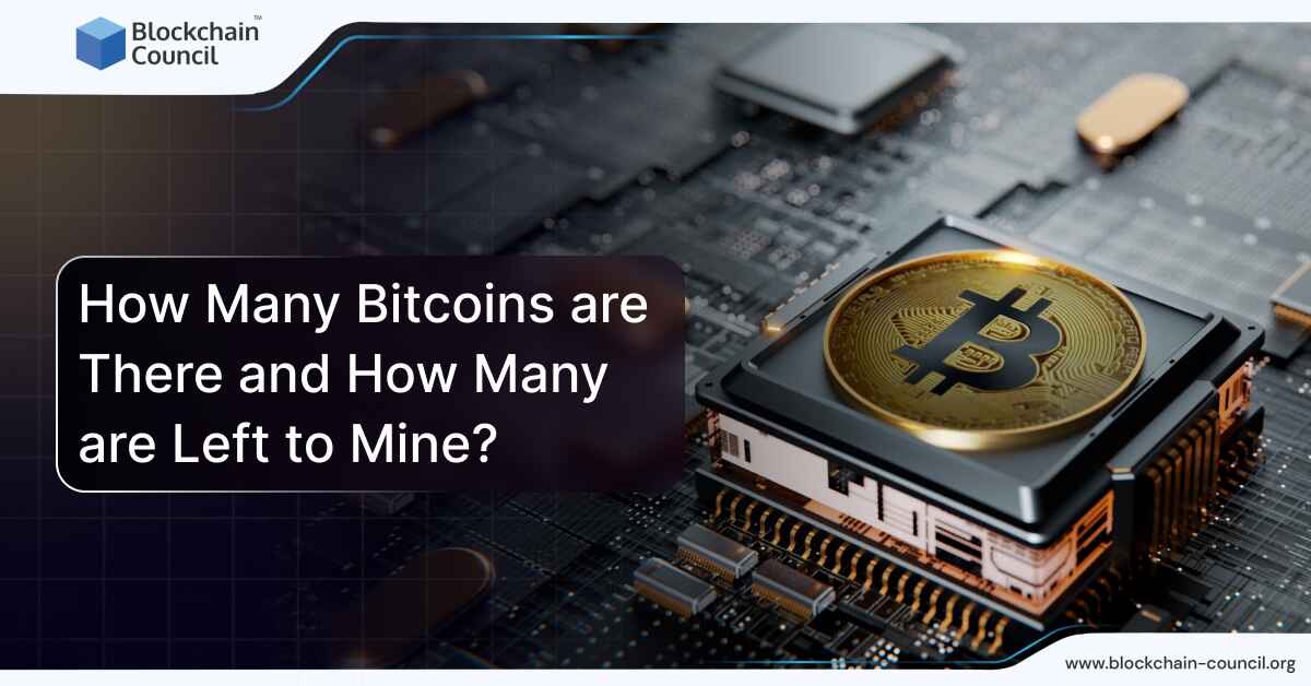 How Many Bitcoins are There and How Many are Left to Mine [April 2024 UPDATED]