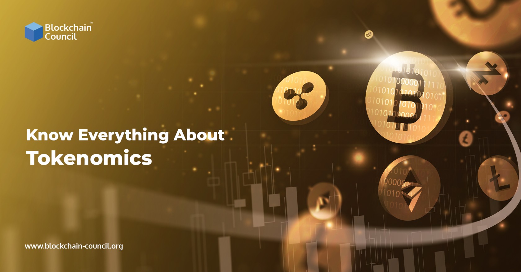 Know Everything About Tokenomics