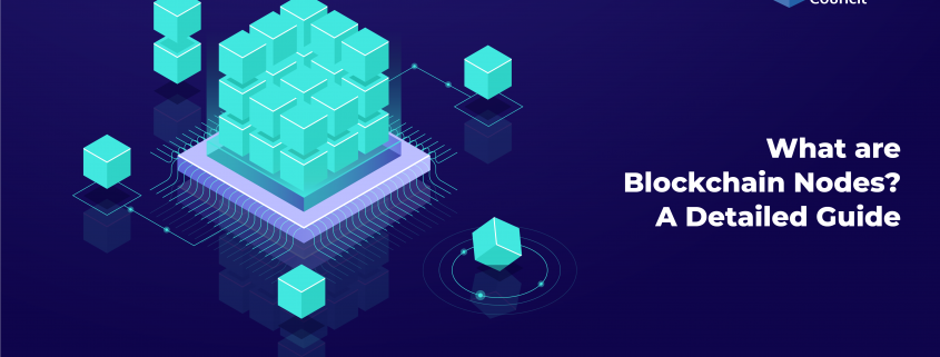What are Blockchain Nodes A Detailed Guide