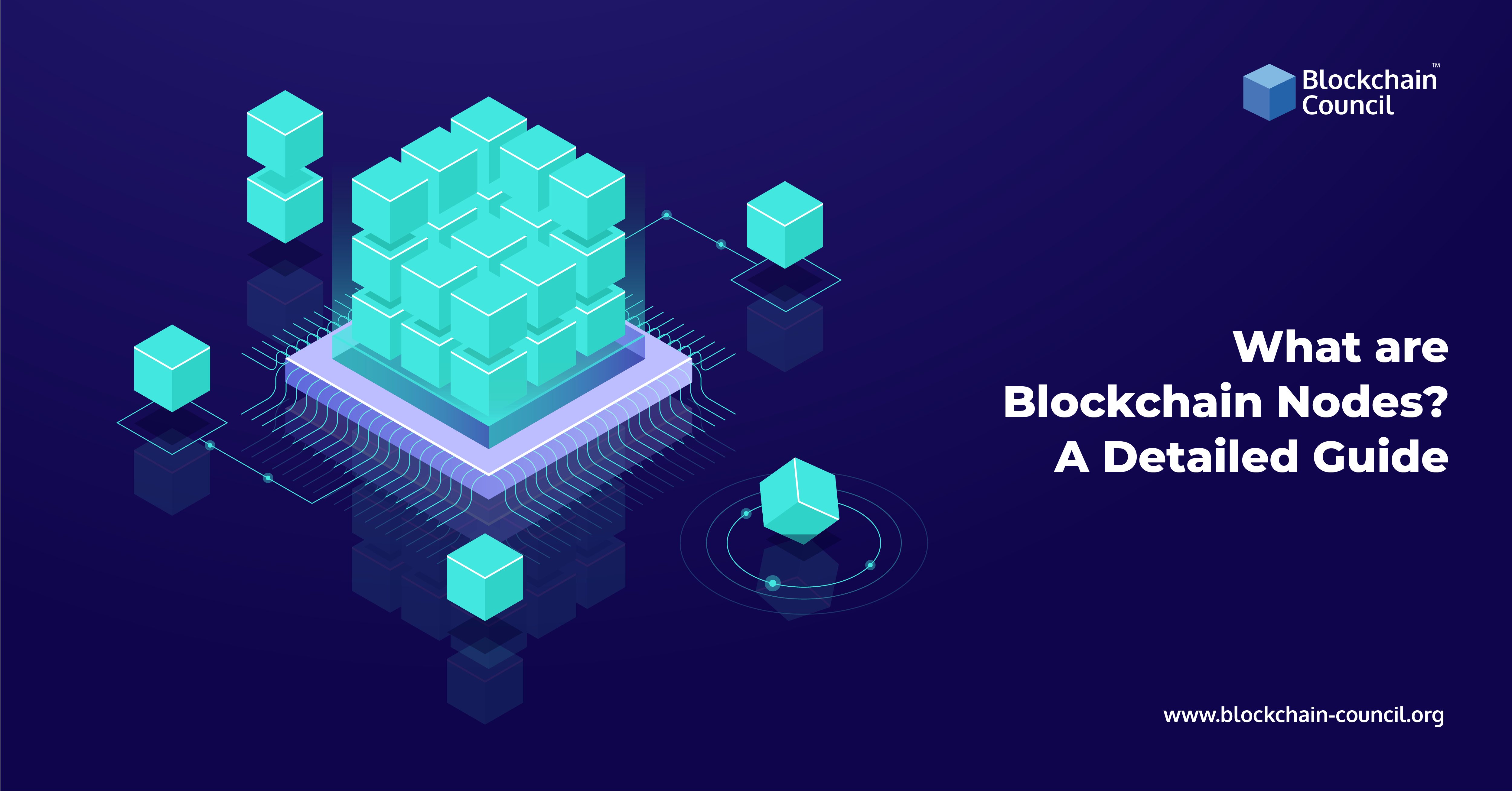 What are Blockchain nodes? Detailed Guide [UPDATED]