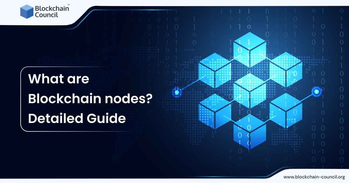 What are Blockchain nodes? Detailed Guide
